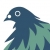 Flat and graphic illustration of a pigeon facing left in desaturated dark blue and green.