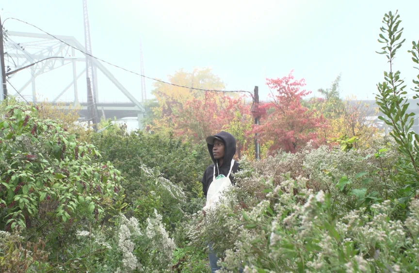 A photo of a person in a green field