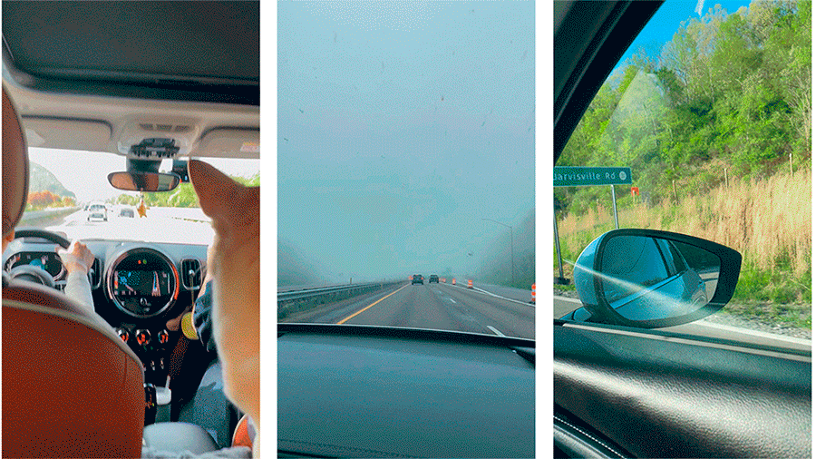 Three looping GIF animations made from phone recordings from the inside of a car. One of them shows a dog in the backseat, one of them shows a foggy road, and one of them shows the greenery off the side of the road as the camera drives past.