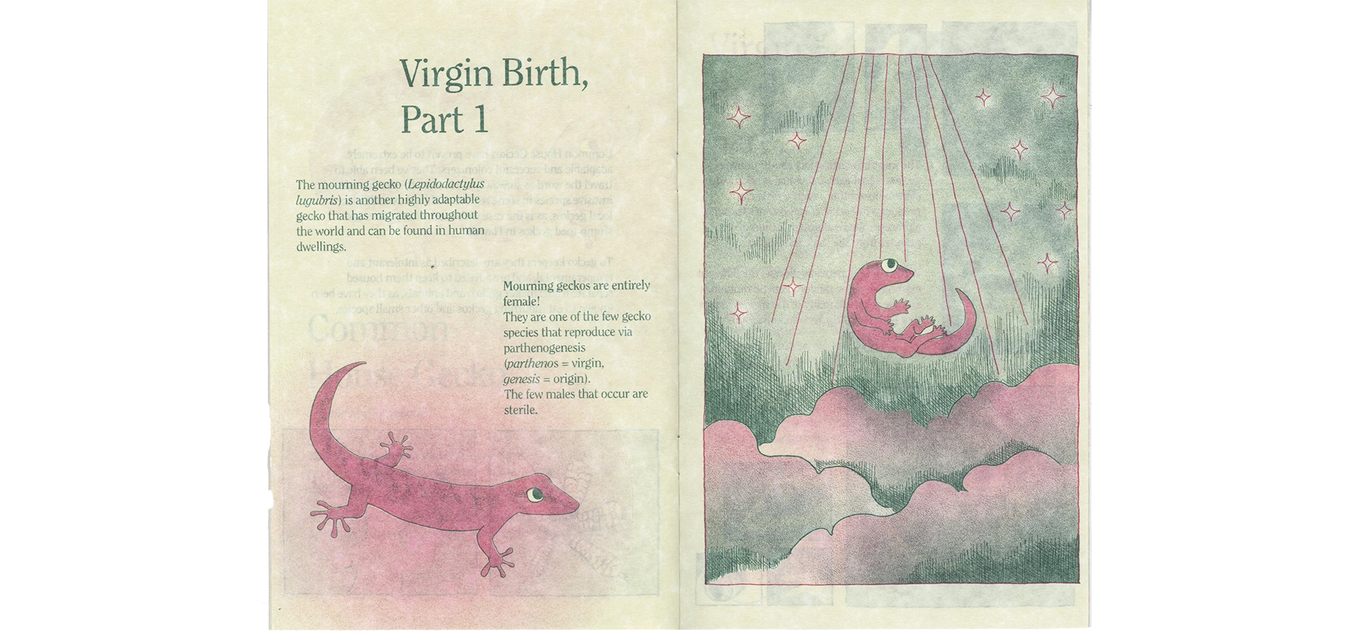 Zine spread titled “Virgin Birth Pt. 1” shows a mourning gecko to the left. To the right, a gecko is drawn floating above clouds, while a ray of celestial light falls upon her.