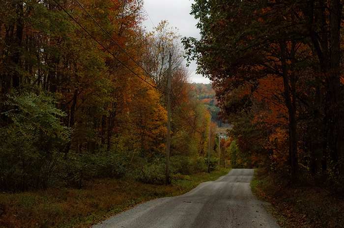 A photograph of a back road winding through the woods during autumn. The trees on either side of the road are strikingly red and yellow. In the distance, the mountains rise high above the road.