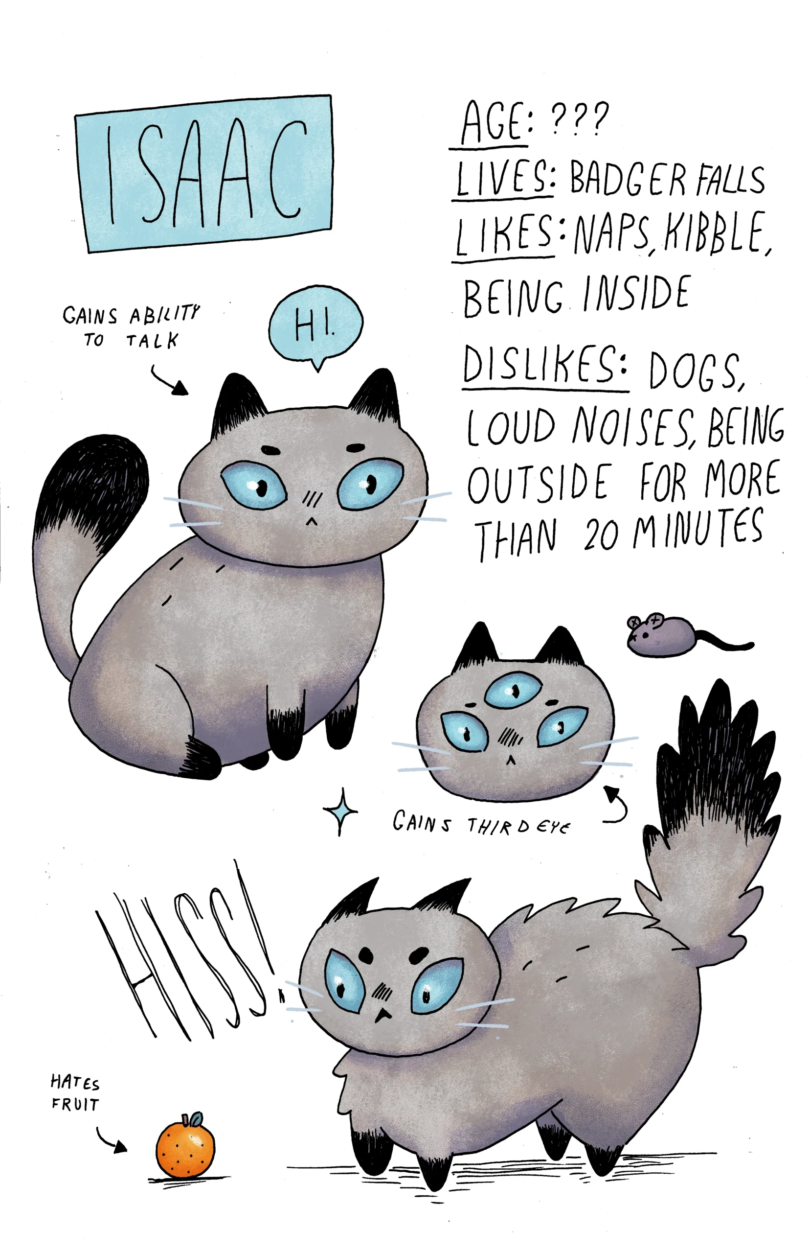 A character sheet of Isaac