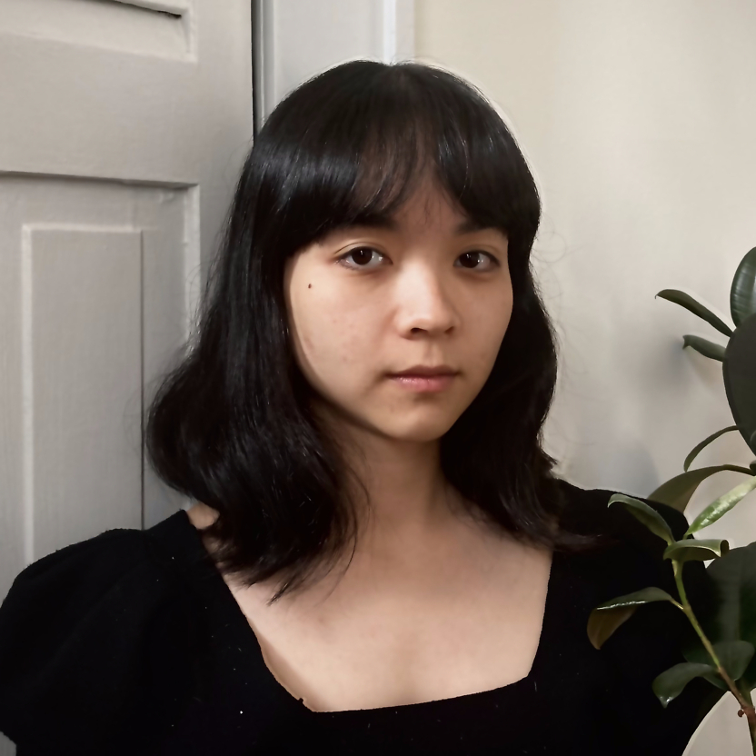 faculty-staff-lillyan-ling-mfa-visual-narrative-school-of-visual-arts