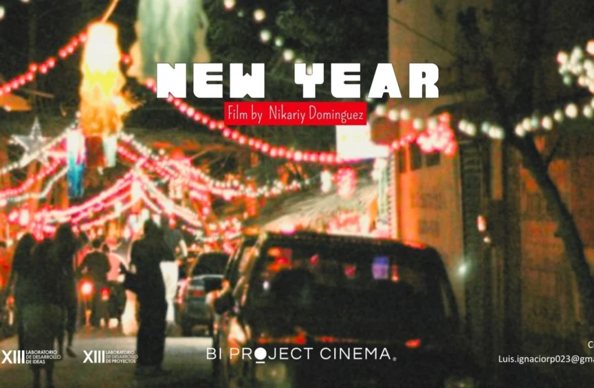 Photo of the poster of the feature film, called new year