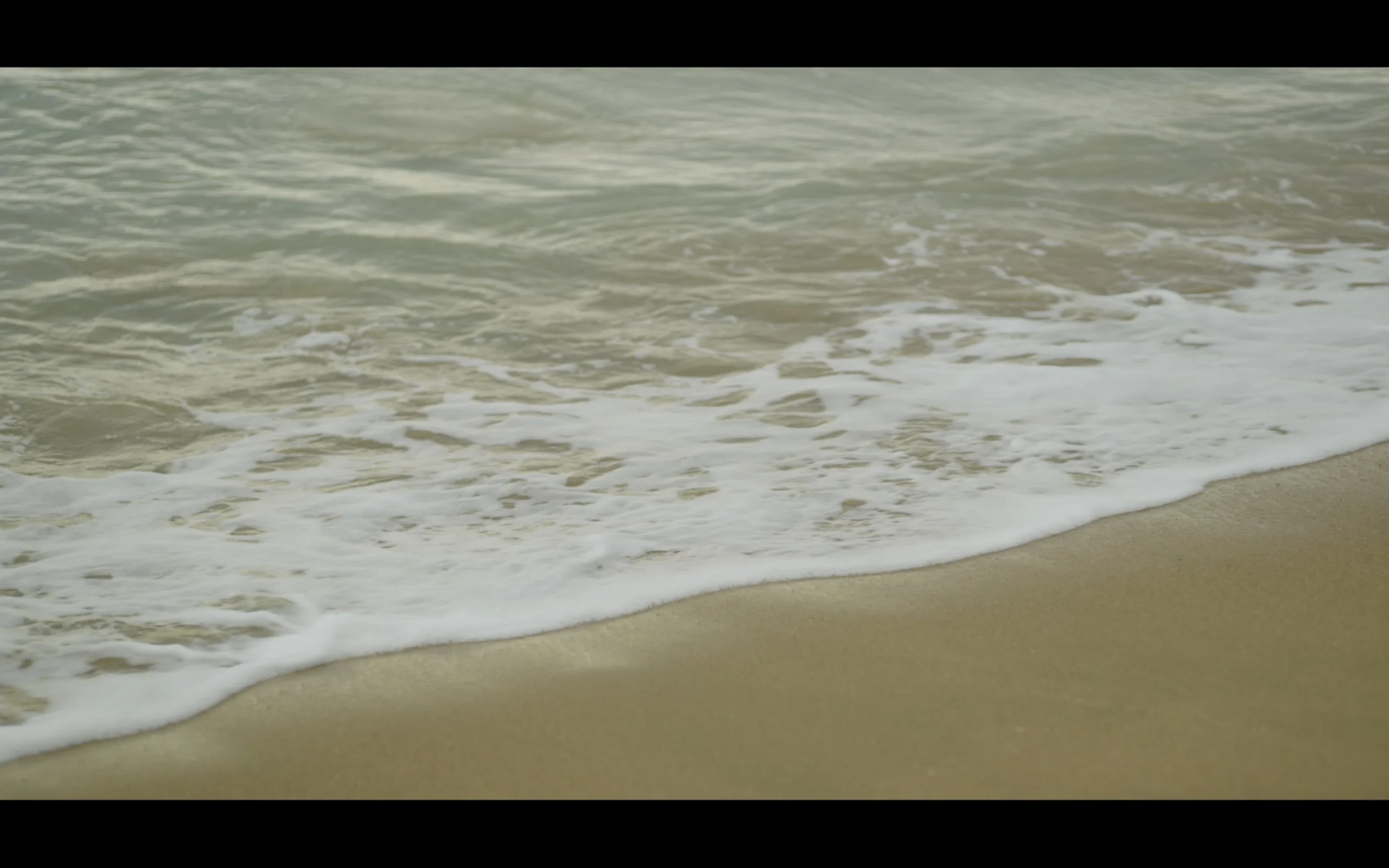 a photo of the sea and some buttons to learn more about the project and a playlist of the shortfilm